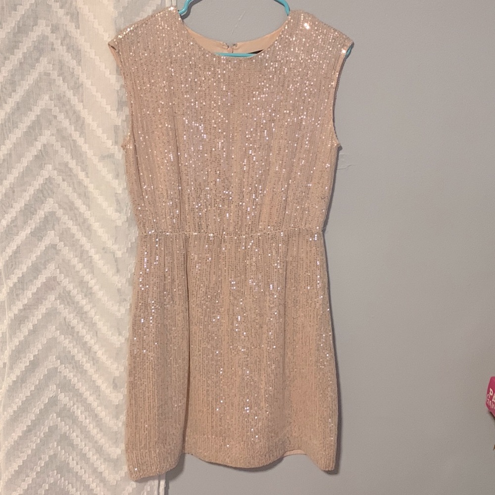 Jcrew size 4 sleeveless light pink and silver sequin dress, worn a few times.